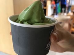 -雪绿茶博物馆