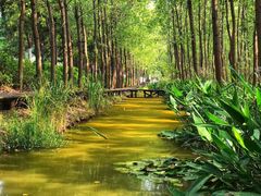 -合肥滨湖国家森林公园