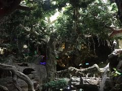 -多彩贵州城极地海洋世界