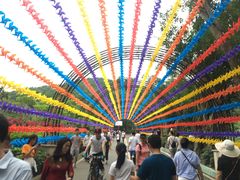-大屏嶂森林公园