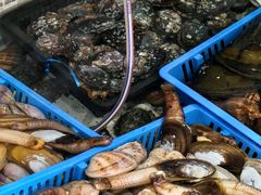 -沙田台山海鲜·酣客酒窖