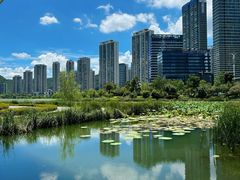 -梅溪湖城市岛
