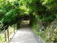 -三千院