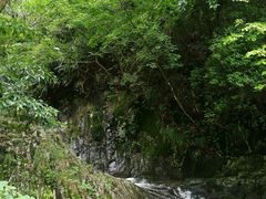 -太湖源风景区