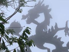 -亚龙湾热带天堂森林公园