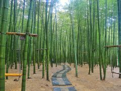 -陶祖圣境风景区