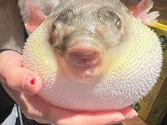 -永安鱼庄·镇江菜(东吴路店)