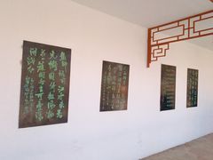 -桃花堤公园