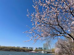 -大兴滨河森林公园