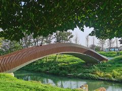 -两河城市森林公园