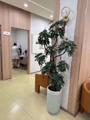 点击看大图 -东莞台心医院-医疗美容