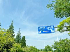 -云岗森林公园