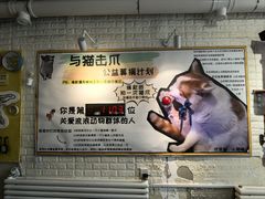 -平行世界·猫咖(首经贸店)