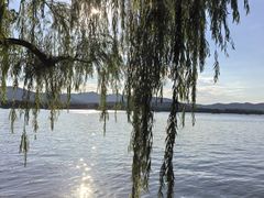 -浙江西子宾馆·瑶园咖啡厅