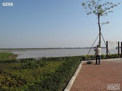 -大湾区中央湿地公园