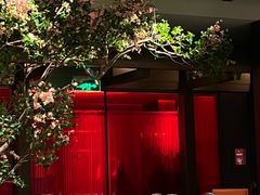 -星·South Beauty·俏江南(国贸店)