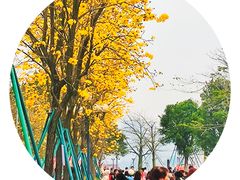 -洲头咀公园