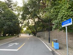 -八大关景区