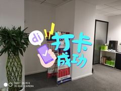 -菠萝国际教育专注Alevel·IGCSE·IB·AP·托福雅思培训辅导(静安校区)