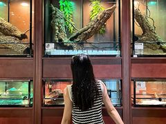 -帕帕拉兹宠物(亚洲旗舰店)