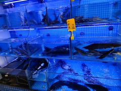 -有藕有鱼·湖北菜(唐家墩店)