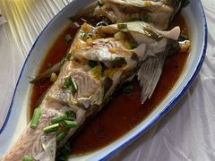 葱油白水鱼-南花桥羊肉馆老字号(乌镇店)