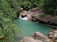 -广州白江湖森林公园