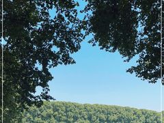 -河南省黄河迎宾馆