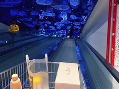 -盒马X会员店(上海森兰商都店)