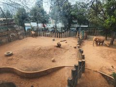 -昆明动物园