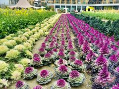 -中国天府农业博览园