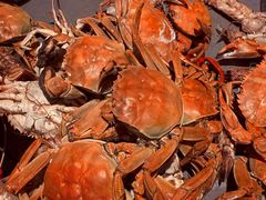 -一方渔歌蒸汽海鲜自助(文化路万达广场店)