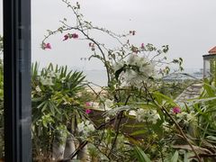 -蠔爺王志德生蚝馆(金沙湾店)