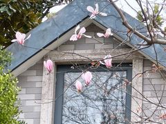 -徐家汇源景区-衡山公园