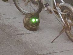 -苏州科技大学（石湖校区）二食堂