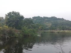 -丹樱生态园