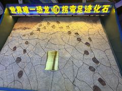 -诸城市恐龙博物馆