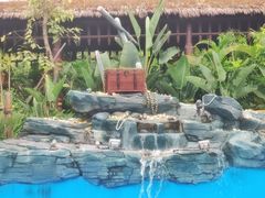 -厦门方特水上乐园