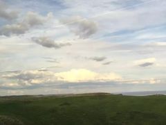 -企鹅岛