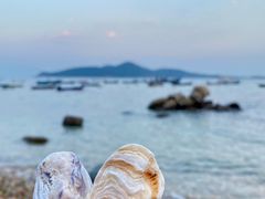 -海源公园