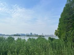 -长广溪湿地公园