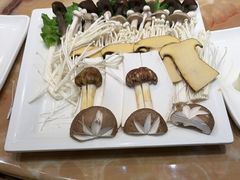 -清真军邺·金富苑肥牛(石坡街旗舰店)