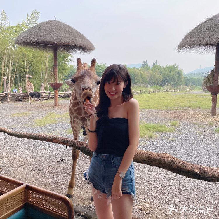不用去肯尼亚🇰🇪也能和长颈鹿🦒共进早餐呀