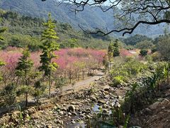 -福清灵石山国家森林公园