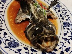 老虎斑鱼-卫鼎轩·家宴(水上公园店)