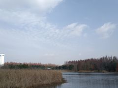 -东平国家森林公园