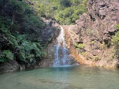 -南海湾森林生态园