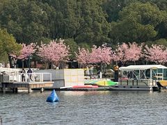 -新江湾城公园