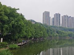 -重庆彩云湖湿地公园