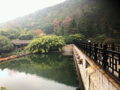 -九龙潭景区